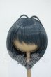 画像1: 8-9inch/インソムニア製:ウィッグ Y-26-05-15-252-WT-ZY (1)