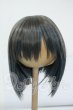 画像1: 8-9inch/インソムニア製:ウィッグ Y-26-05-15-254-WT-ZY (1)