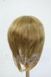 画像2: 8-9inch/ウィッグ Y-26-05-22-154-WT-ZY (2)