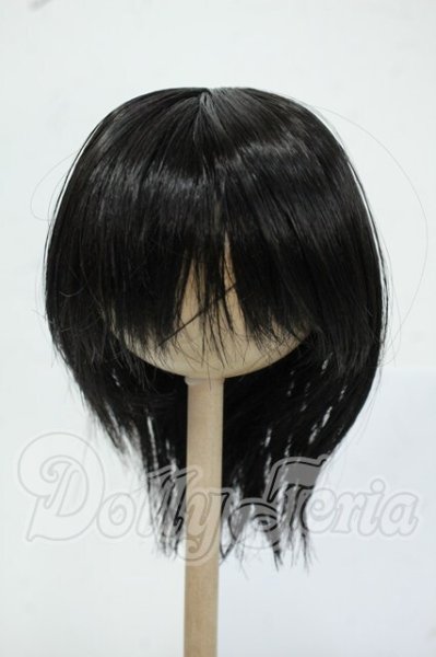 画像1: 8-9inch/ウィッグ Y-26-05-22-159-WT-ZY (1)