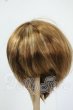 画像1: 8-9inch/ウィッグ Y-26-05-22-160-WT-ZY (1)