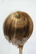 画像2: 8-9inch/ウィッグ Y-26-05-22-160-WT-ZY (2)
