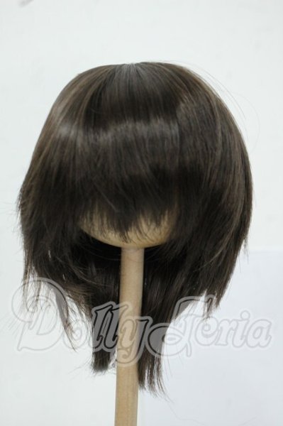 画像1: 8-9inch/ウィッグ Y-26-05-22-166-WT-ZY (1)