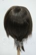 画像2: 8-9inch/ウィッグ Y-26-05-22-166-WT-ZY (2)