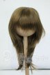 画像1: 7-8inch/ウィッグ Y-26-05-22-170-WT-ZY (1)
