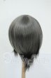画像2: 7-8inch/ウィッグ Y-26-05-22-173-WT-ZY (2)