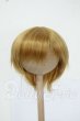画像1: 7-8inch/ウィッグ Y-26-05-22-157-WT-ZY (1)