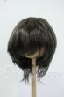 画像1: 8-9inch/ウィッグ Y-26-05-22-179-WT-ZY (1)