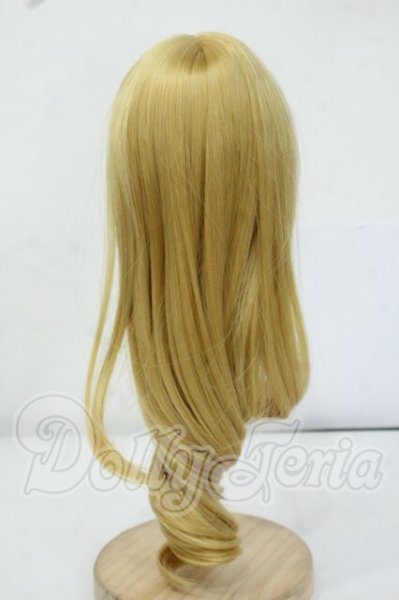 画像2: 8-9inch/ウィッグ Y-26-05-22-150-WT-ZY (2)