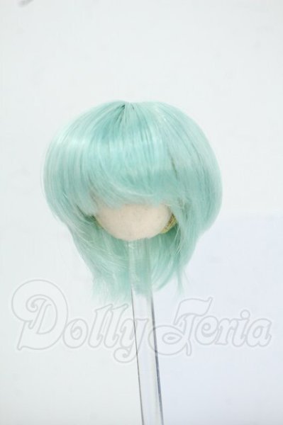 画像1: 5.5inch/ウィッグ Y-26-05-22-236-WT-ZY (1)