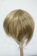 画像2: 8-9inch/ウィッグ Y-26-05-22-237-WT-ZY (2)