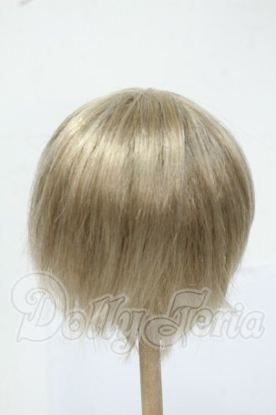 画像2: 8-9inch/ウィッグ Y-26-05-29-276-WT-ZY (2)