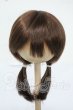 画像1: 8-9inch/ウィッグ Y-26-06-02-154-WT-ZY (1)