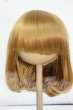 画像1: 8-9inch/ウィッグ:DOLK ORIGINAL WIG Y-26-06-02-128-WT-ZY (1)
