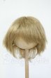 画像1: 8-9inch/ウィッグ Y-26-06-02-156-WT-ZY (1)