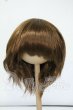 画像1: 8-9inch/ウィッグ Y-26-06-02-155-WT-ZY (1)