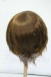 画像2: 8-9inch/ウィッグ Y-26-06-02-155-WT-ZY (2)