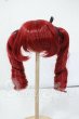 画像1: 9inch/姫りんご様製 ウィッグ Y-26-06-02-148-WT-ZY (1)