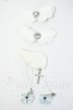 画像1: MDD/OF:小物 Y-26-06-09-154-WT-ZY (1)