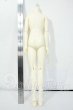 画像2: SDGrB/ウィリアムズボディ Y-26-06-09-244-WT-ZY (2)