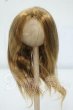 画像1: 6-7inch/ウィッグ Y-26-06-16-260-WT-ZY (1)