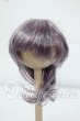 画像1: 6-7inch/ウィッグ Y-26-06-30-060-WT-ZY (1)