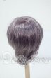 画像2: 6-7inch/ウィッグ Y-26-06-30-060-WT-ZY (2)