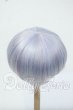 画像2: 8-9inch/ウィッグ Y-26-06-30-025-WT-ZY (2)