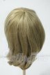 画像2: 9-10inch/ウィッグ Y-26-06-30-290-WT-ZY (2)