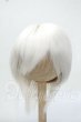 画像1: 8inch/BJD CROBI製 ウィッグ Y-26-07-14-052-WT-ZY (1)