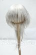 画像1: 8-9inch/DOLK ORIGINAL ウィッグ Y-26-07-14-056-WT-ZY (1)
