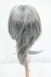 画像2: 9-10inch/ウィッグ Y-26-07-21-015-WT-ZY (2)