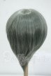 画像2: 8-9inch/ウィッグ Y-26-07-21-168-WT-ZY (2)
