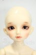 画像1: SDM/のあ Y-26-08-18-396-WT-ZY (1)