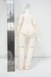 画像2: IMOMODOLL/1/6 Body 冬瓜体 Y-26-08-25-295-WT-ZY (2)