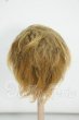 画像2: 6-7inch/ウィッグ Y-26-09-01-045-WT-ZY (2)