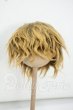 画像1: 9-10inch/ウィッグ Y-26-09-01-046-WT-ZY (1)