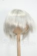 画像1: 7-8inch/ウィッグ Y-26-09-01-044-WT-ZY (1)