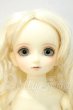 画像1: SDM/子天使白蓮 白雪ver. Y-26-09-01-251-WT-ZY (1)