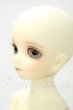 画像3: SDM/子天使白蓮 白雪ver. Y-26-09-01-251-WT-ZY (3)