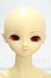 画像1: SD女の子/旧凌ヘッド+限定すわりっこボディ Y-26-09-08-240-WT-ZY (1)