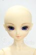画像1: SD男の子/凌ヘッド+星間学寮ミシェルボディ Y-26-09-08-241-WT-ZY (1)