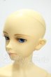 画像3: SD13男の子/フルチョイス:F-17 Y-26-09-08-246-WT-ZY (3)