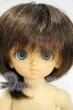 画像1: 幼SD/蓮花丸 Y-26-09-08-248-WT-ZY (1)