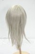 画像2: 9-10inch/ウィッグ Y-26-09-08-089-WT-ZY (2)