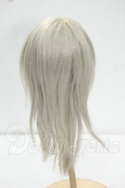 画像2: 9-10inch/ウィッグ Y-26-09-08-089-WT-ZY (2)