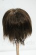 画像2: 8-9inch/ウィッグ Y-26-09-08-068-WT-ZY (2)