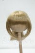 画像1: 7-8inch/ウィッグ Y-26-09-08-110-WT-ZY (1)