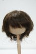 画像1: 7-8inch/ウィッグ Y-26-09-08-109-WT-ZY (1)