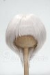 画像1: 7-8inch/ウィッグ Y-26-09-08-234-WT-ZY (1)
